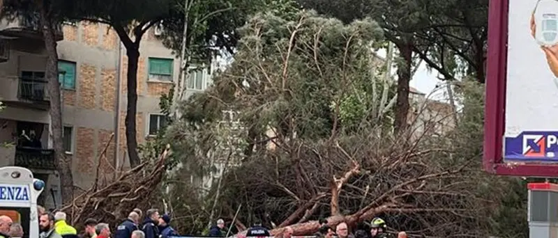 Un morto a Reggio Calabria per il maltempo: aperta inchiesta per omicidio colposo