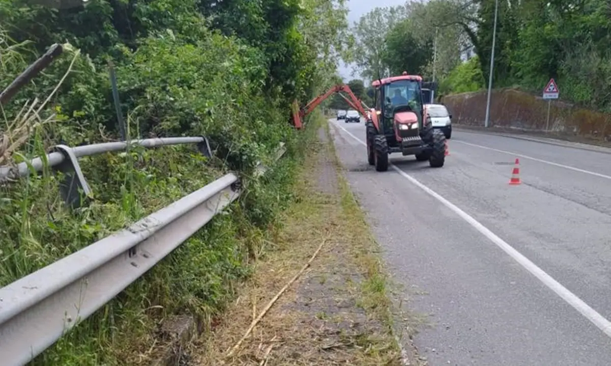 Vibo, il Comune: «Al via pulizia straordinaria di città e frazioni» - Foto