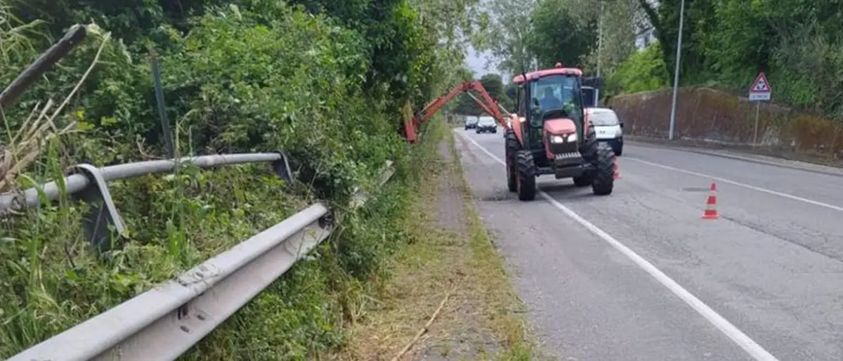Vibo, il Comune: «Al via pulizia straordinaria di città e frazioni» - Foto