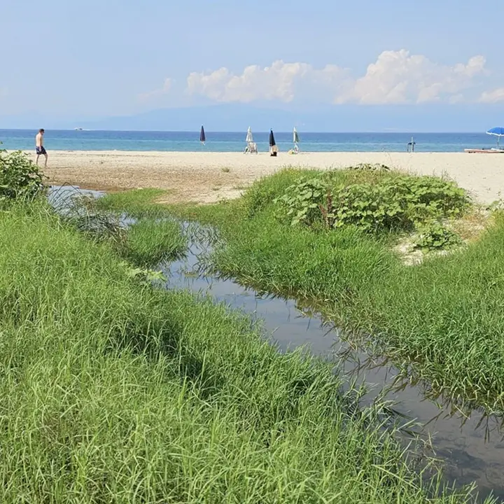 Spiaggia Bivona, la denuncia di Patania: «Qui grave pericolo igienico-sanitario» - Foto