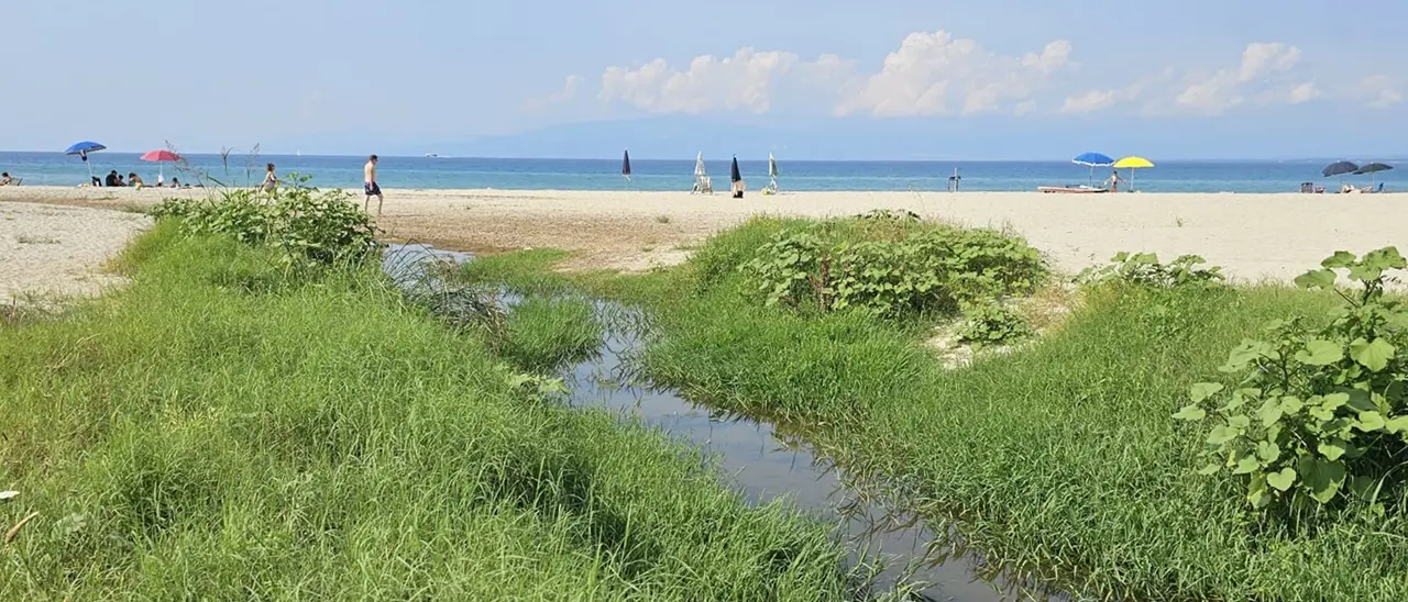 Spiaggia Bivona, la denuncia di Patania: «Qui grave pericolo igienico-sanitario» - Foto