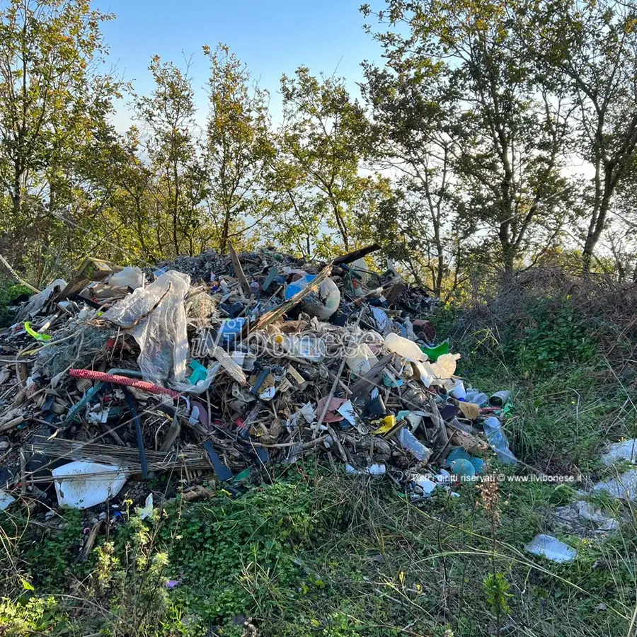 Scempio ambientale a Joppolo: i rifiuti delle spiagge gettati vicino Monte Poro - Foto