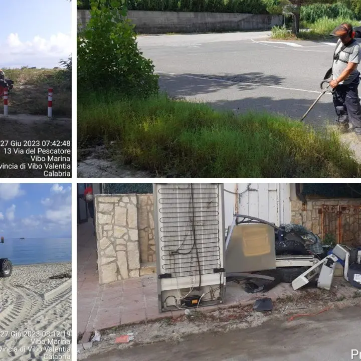 Vibo, il sindaco ordina la pulizia e manutenzione aree private: «I cittadini collaborino»