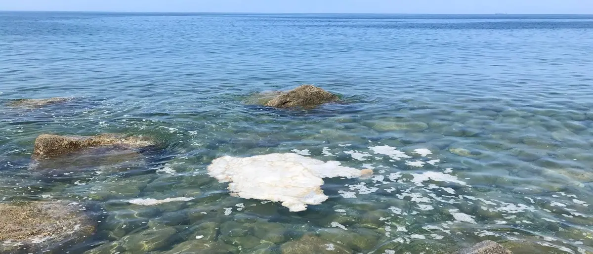 Inquinamento, a Vibo la presentazione di sei nuove motobarche “spazzamare”