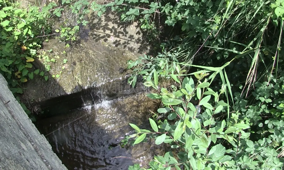 Francavilla Angitola e la paura per quel torrente che minaccia le abitazioni - Video
