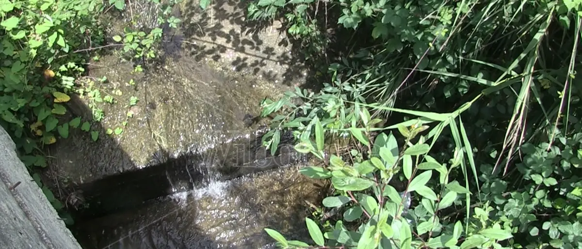 Francavilla Angitola e la paura per quel torrente che minaccia le abitazioni - Video