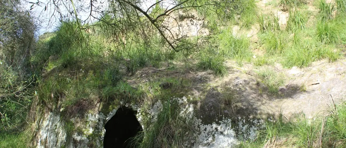 Archeoclub a Rombiolo: tra gli obiettivi lo studio degli insediamenti rupestri