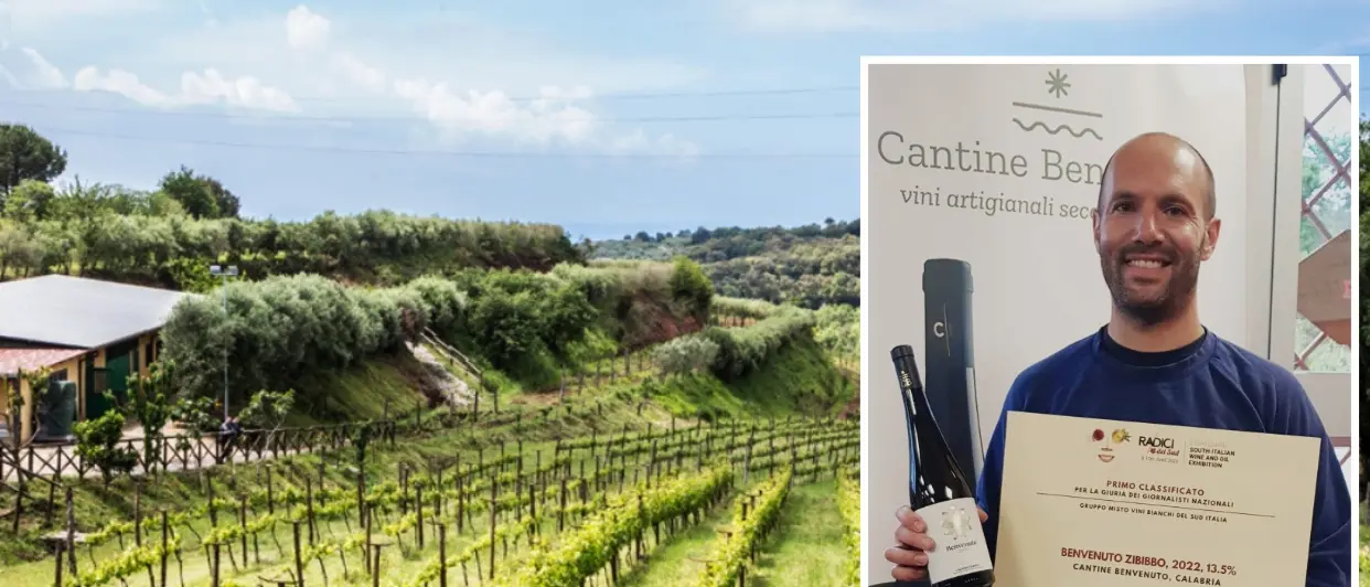 Vini, lo zibibbo prodotto nel Vibonese dalle Cantine Benvenuto premiato in Puglia