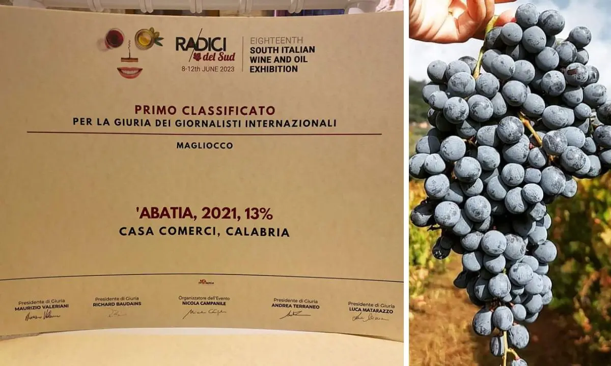 Trionfo dei vini vibonesi al Salone \"Radici del Sud\": tra i premiati anche il magliocco di Casa Comerci