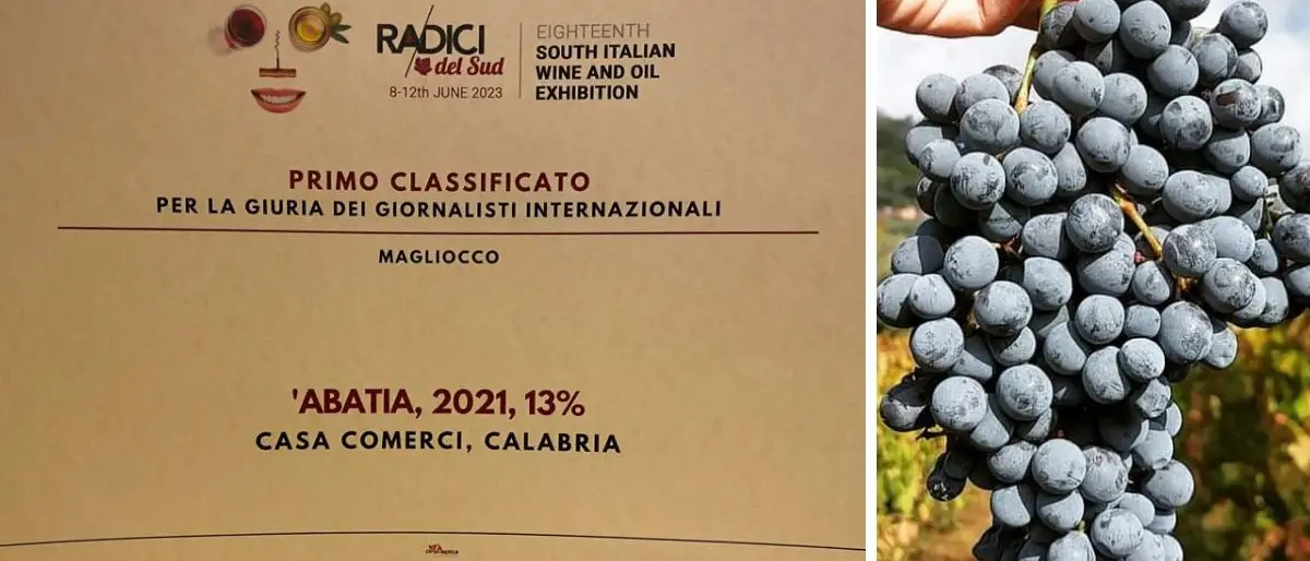 Trionfo dei vini vibonesi al Salone \"Radici del Sud\": tra i premiati anche il magliocco di Casa Comerci