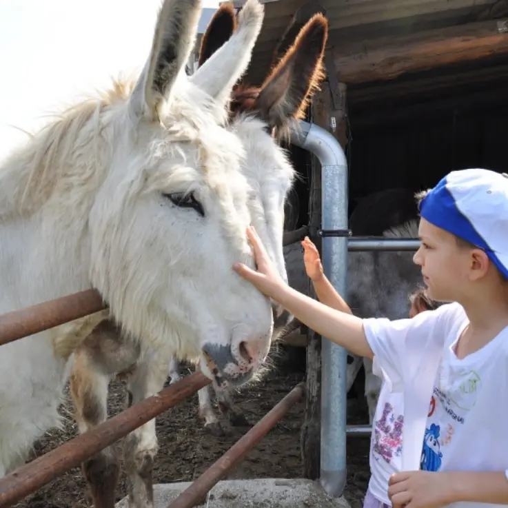 Aziende agricole e inclusione sociale, focus a Vibo Valentia