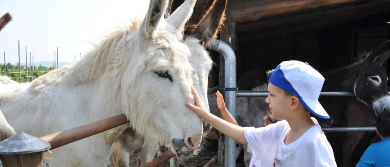 Aziende agricole e inclusione sociale, focus a Vibo Valentia