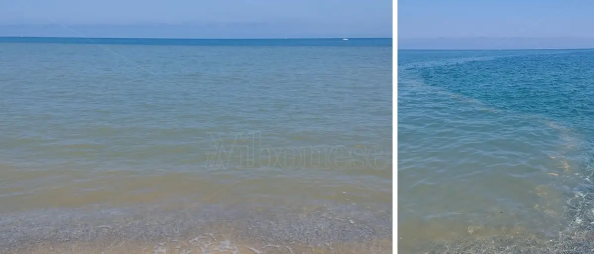 Mare sporco e polemiche: la battaglia di Occhiuto che punta il dito contro i Comuni - Video