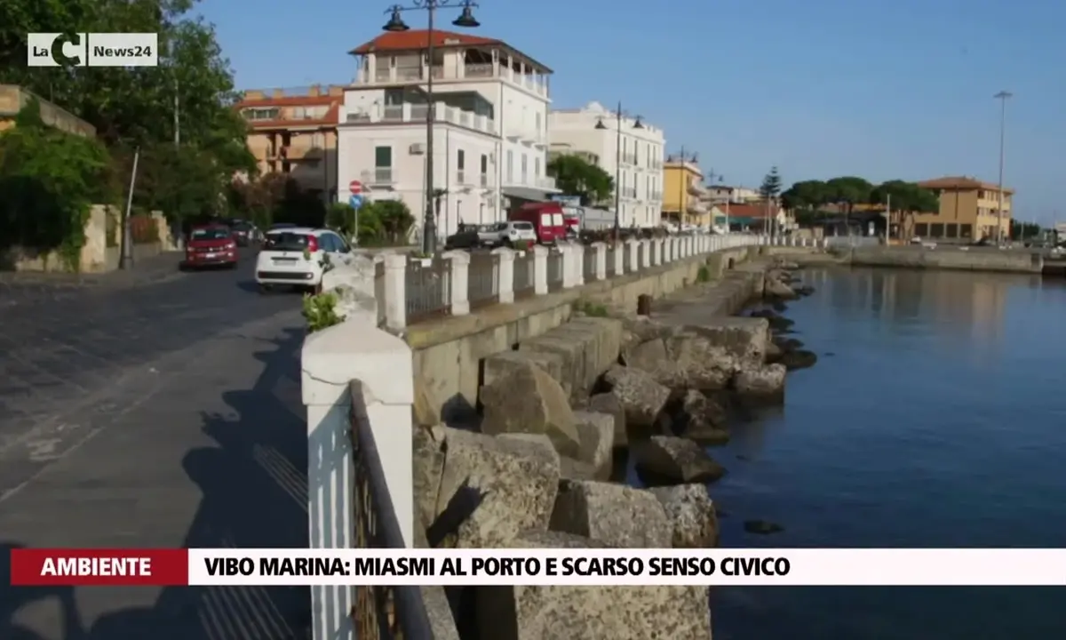 Vibo Marina: miasmi al porto e scarso senso civico - Video