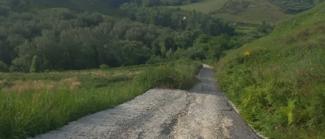 Strada Mileto-Filandari, il Pd chiede lumi al sindaco sullo stop dei lavori
