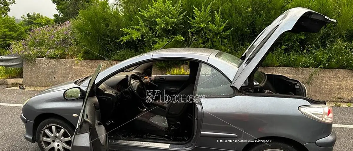 Incidente sulla Trasversale, De Nisi: «Si verifichino le condizioni di sicurezza»