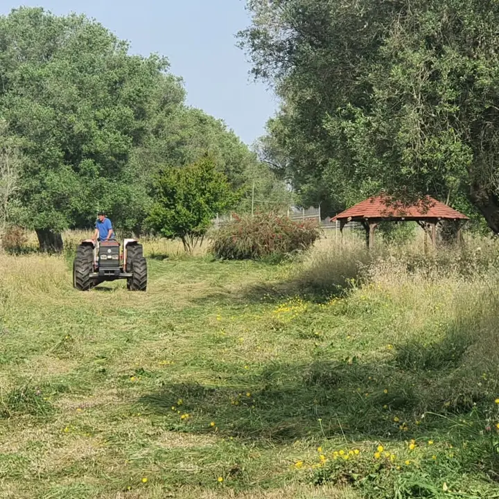 Pulizia del verde e delle spiagge a Vibo, il Comune: «Intensificate le attività»