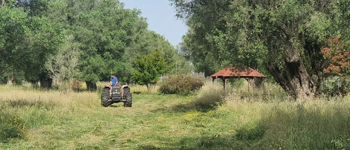 Pulizia del verde e delle spiagge a Vibo, il Comune: «Intensificate le attività»