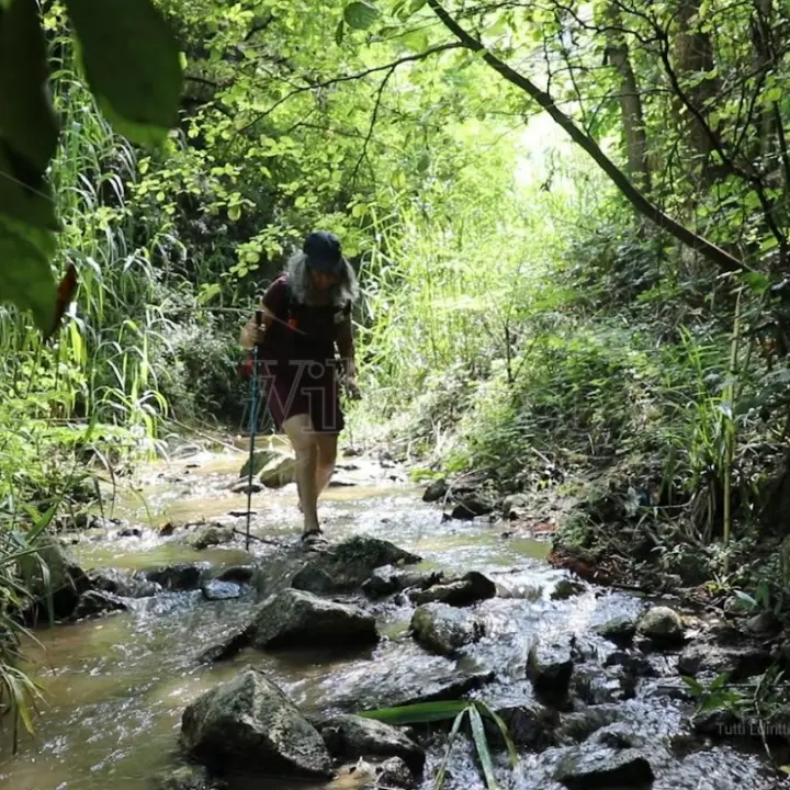 “La fiumara delle meraviglie”, il Potame di Briatico protagonista di LaC Storie - Video