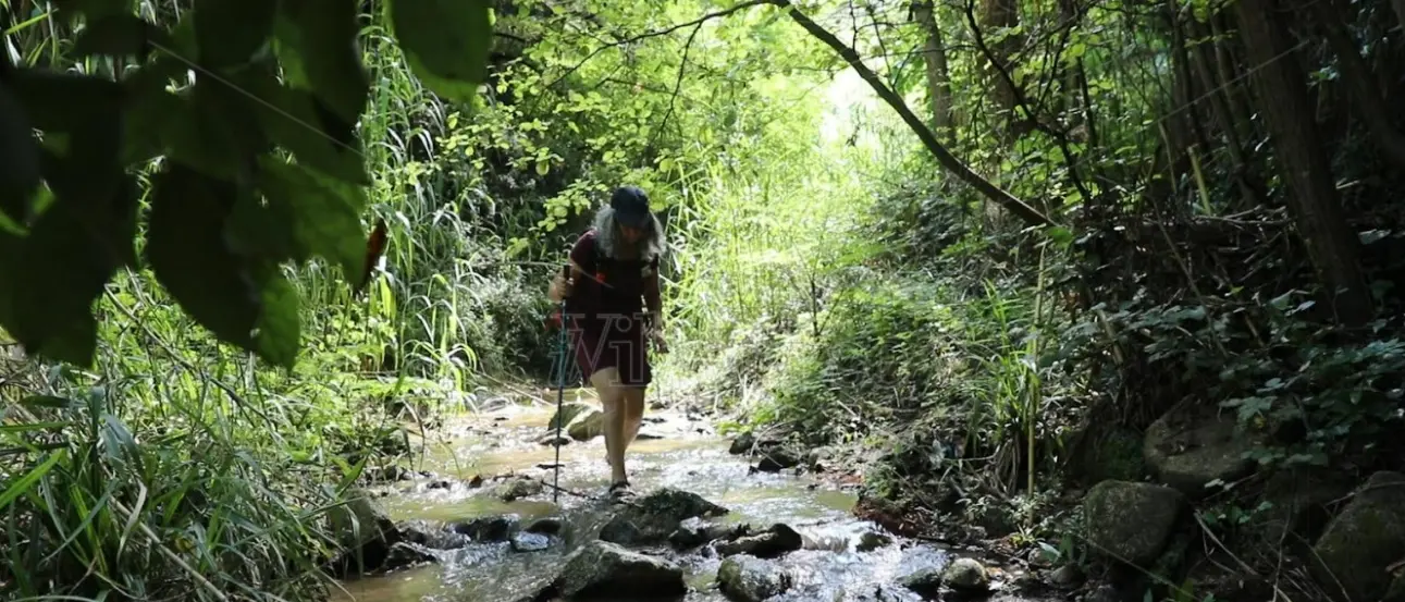 “La fiumara delle meraviglie”, il Potame di Briatico protagonista di LaC Storie - Video