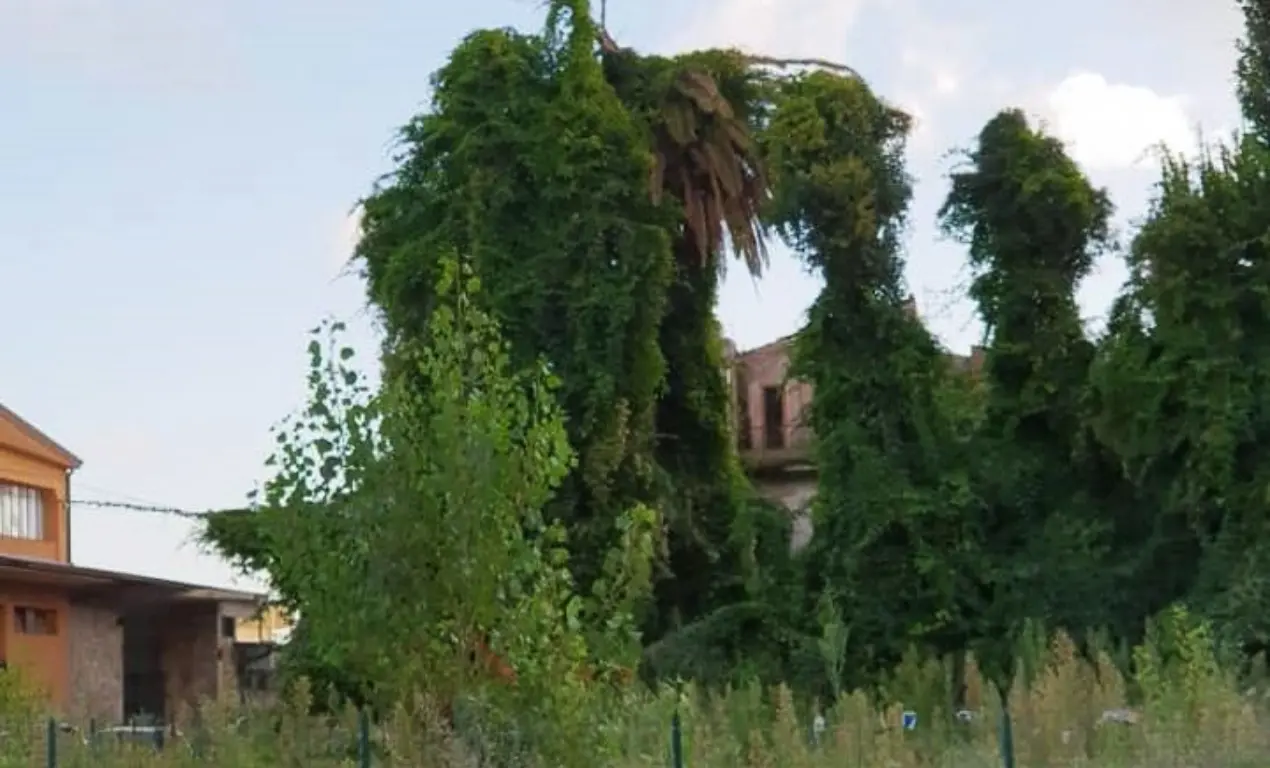 Area ex “Palazzo della vergogna”, il Comune di Vibo procederà con l’esproprio