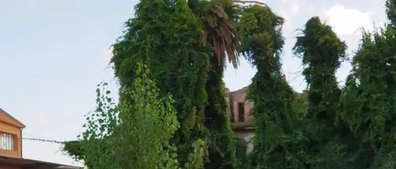 Area ex “Palazzo della vergogna”, il Comune di Vibo procederà con l’esproprio