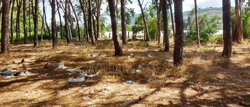 Plastic free, tornano gli appuntamenti in tutta Italia: a Pizzo si pulisce la pineta