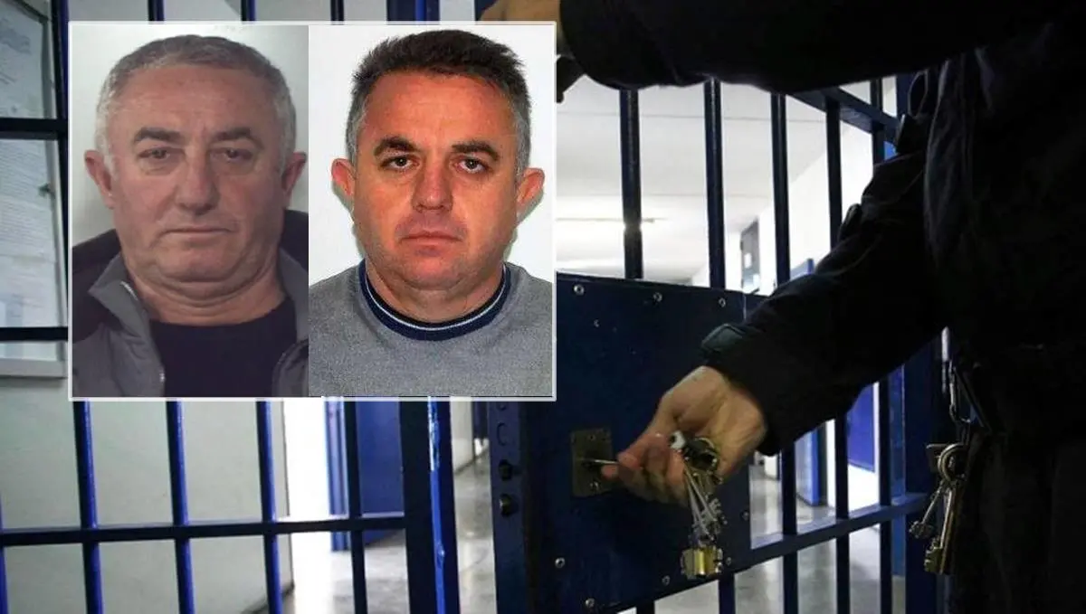 ‘Ndrangheta, colpito il clan La Rosa di Tropea: ecco i nomi degli arrestati nell'operazione della Guardia di finanza - VIDEO