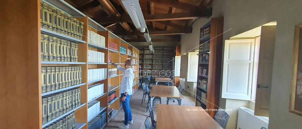 Sistema bibliotecario vibonese in crisi, ancora nessuna candidatura alla carica di presidente