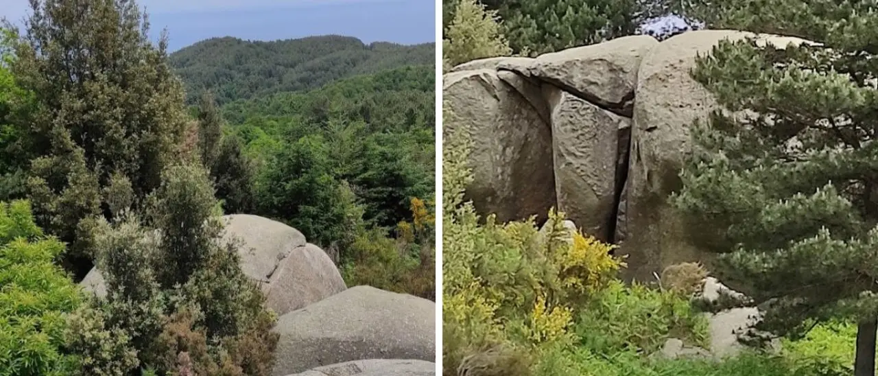 Viaggio dai boschi vibonesi alla pietra di Sant’Antonino: il nuovo percorso trekking di “Vivi Serra”