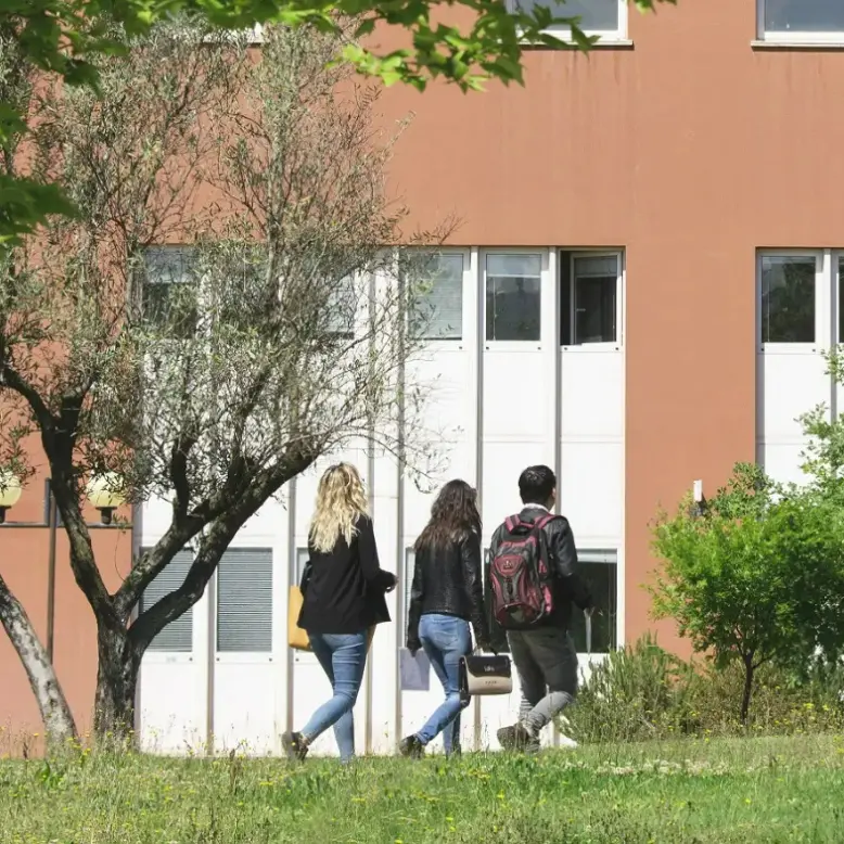 STEM4Teach@Cal, ecco il progetto UniCal per rafforzare formazione e inclusione nelle discipline STEM\n