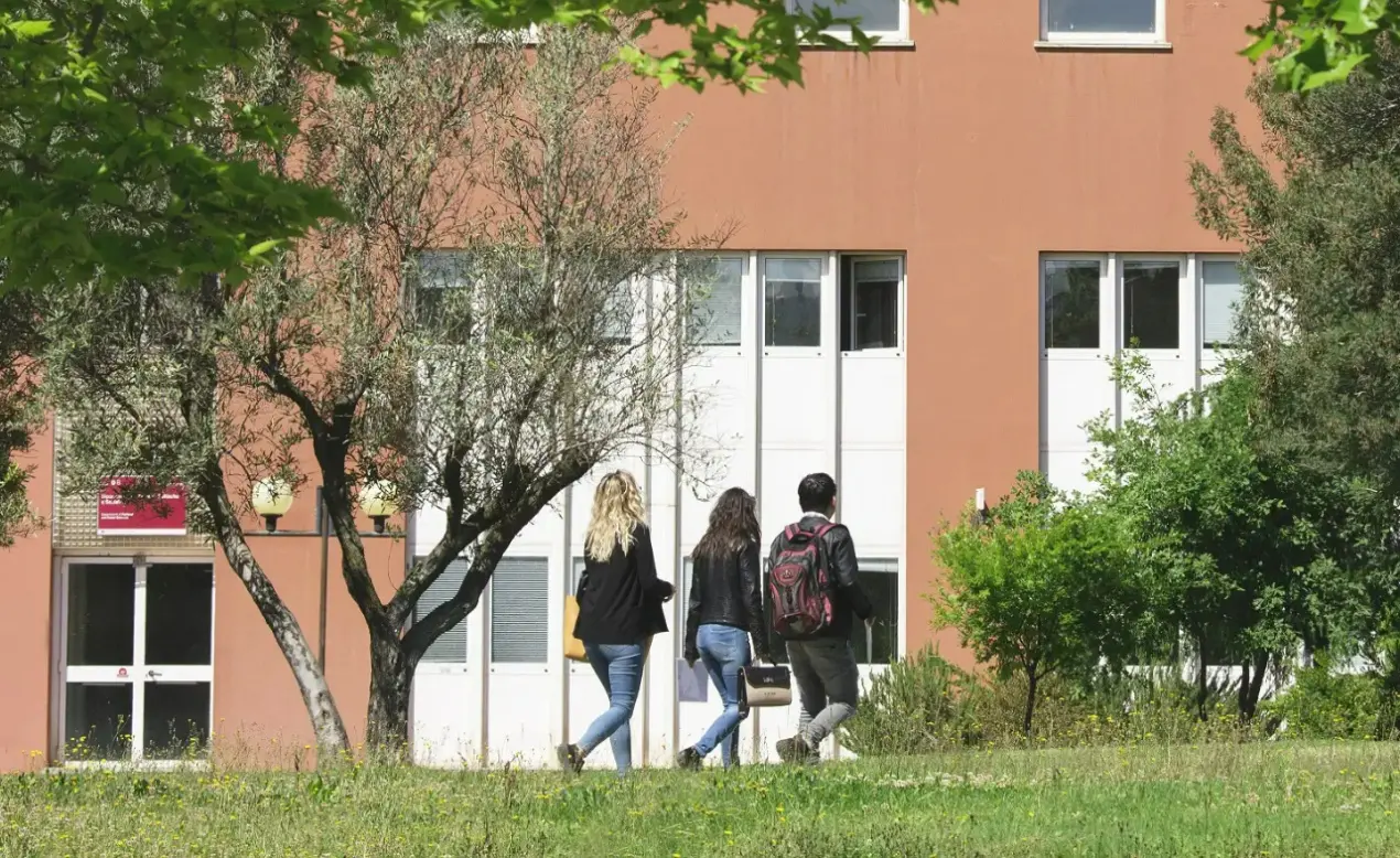 STEM4Teach@Cal, ecco il progetto UniCal per rafforzare formazione e inclusione nelle discipline STEM\n