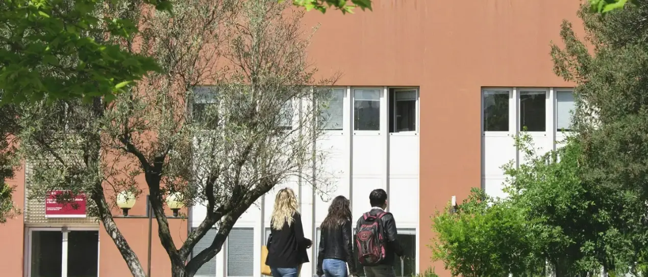 STEM4Teach@Cal, ecco il progetto UniCal per rafforzare formazione e inclusione nelle discipline STEM\n