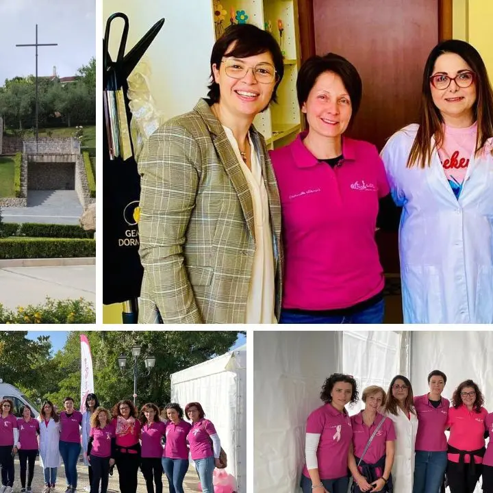 Lotta ai tumori, “Vibo in rosa”: «Ancora troppe pazienti costrette a curarsi fuori regione»