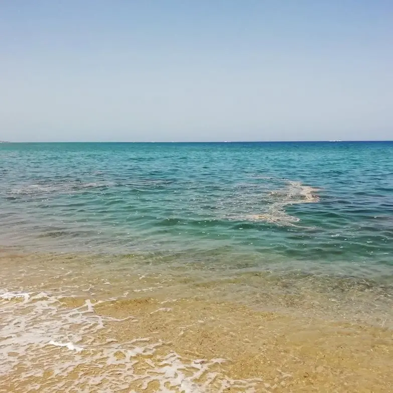 Mare sporco nel Vibonese, Soriano (Pd) scrive al governatore Occhiuto: «Stanchi dei proclami»