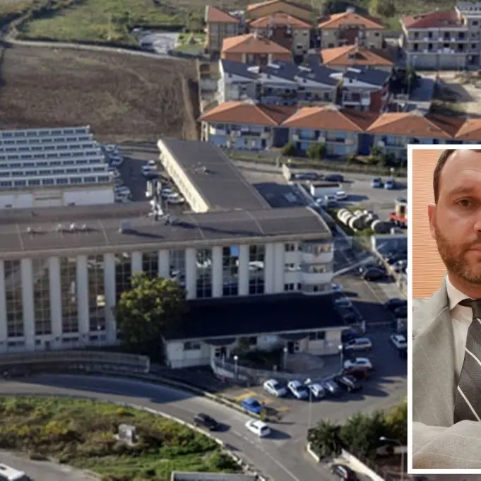 Provincia Vibo, il consigliere Tomaselli: «Ente ingessato dal punto di vista politico e amministrativo»