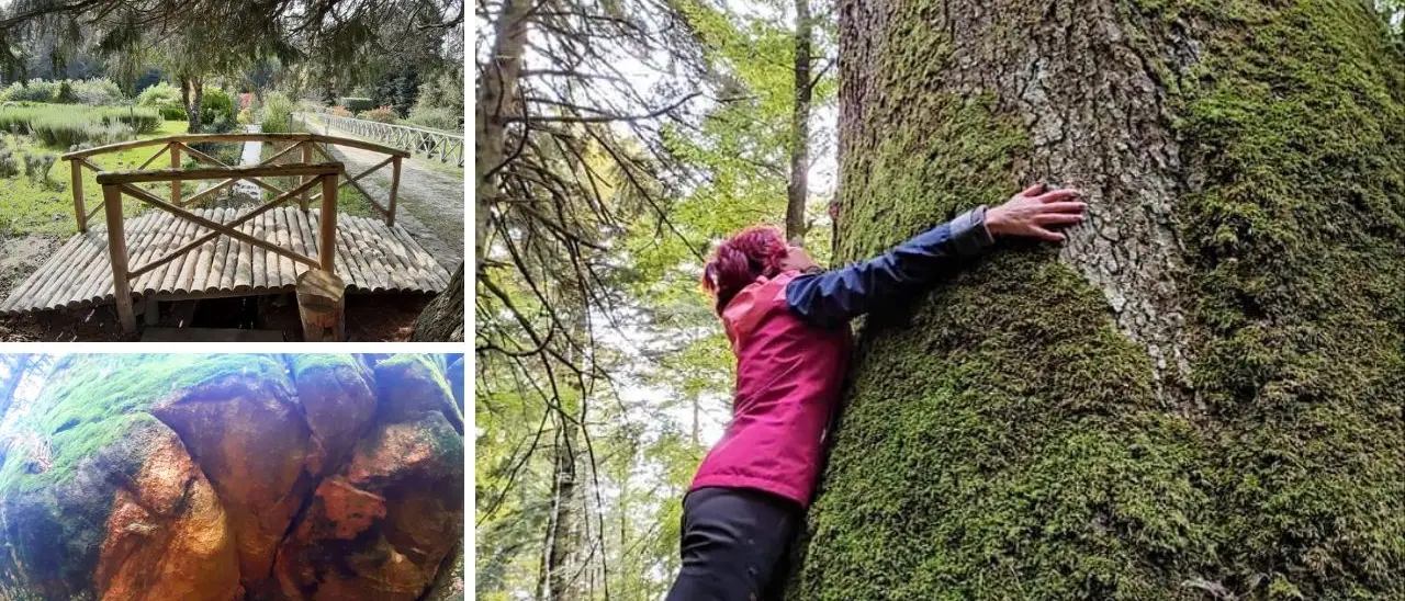 Dalle antiche neviere agli alberi monumentali, il nuovo percorso trekking tra le meraviglie delle Serre