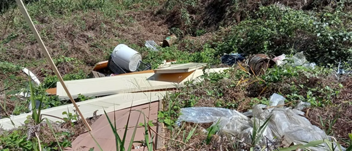 Scoperta una discarica abusiva nell’Oasi dell’Angitola, scatta la denuncia del Wwf