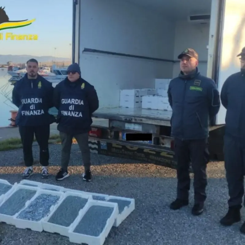 Sequestrati nel Cosentino 17 quintali di novellame: in campo i finanzieri del Roan di Vibo