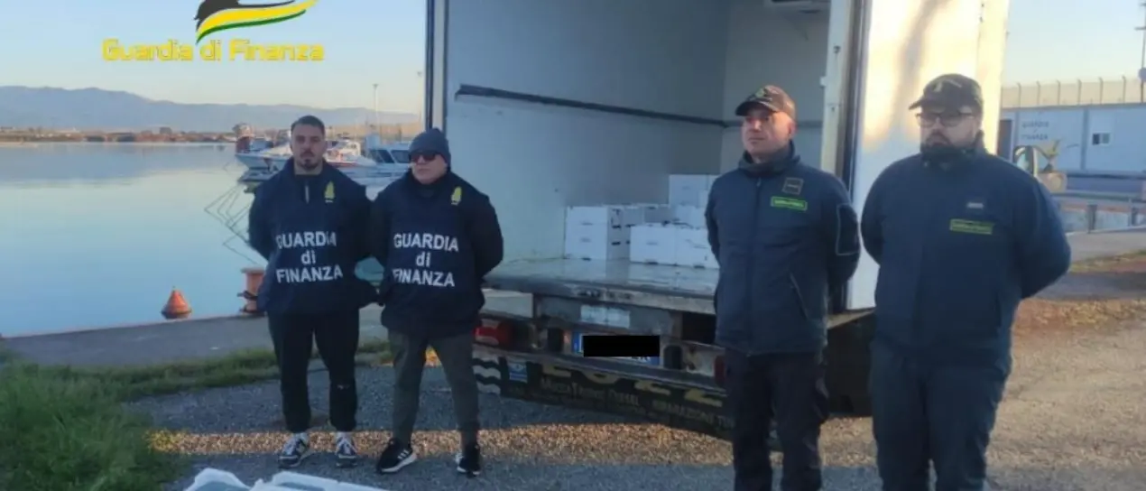 Sequestrati nel Cosentino 17 quintali di novellame: in campo i finanzieri del Roan di Vibo