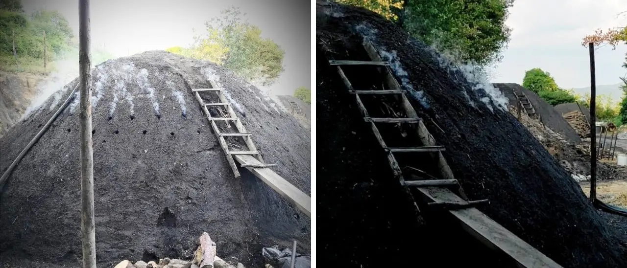 Serra San Bruno, dal Pd calabrese un progetto per far rientrare il carbone nel patrimonio Unesco