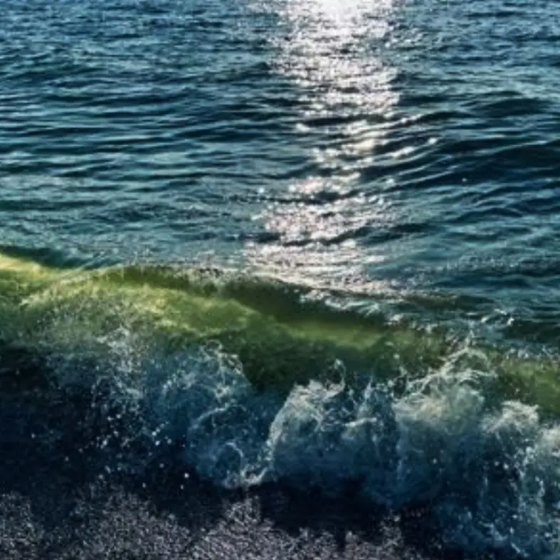 Pizzo, la segnalazione: «Mare verde e bollicine, i turisti preferiscono stare in piscina»