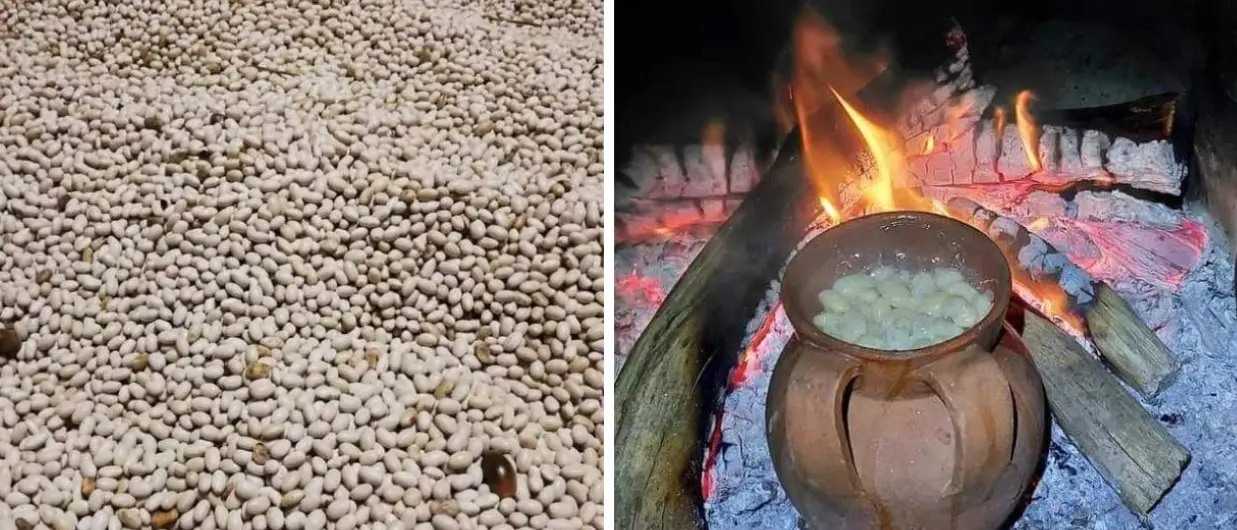 “Fagiola paisana” e “poverello bianco”, viaggio alla riscoperta dei prodotti della tradizione contadina