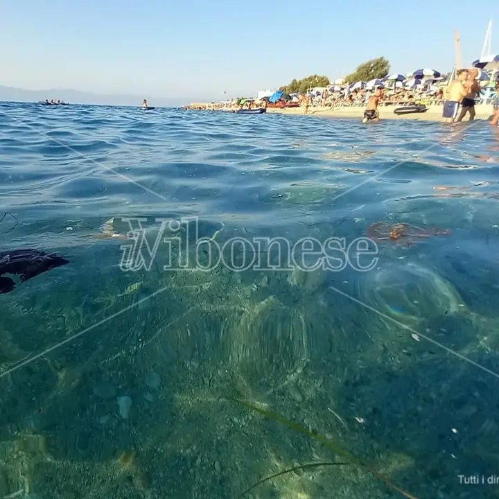 Inquinamento, il gruppo consiliare Cuore vibonese: «La prossima estate a Bivona sarà come quella del 2024? Pericoloso immobilismo»