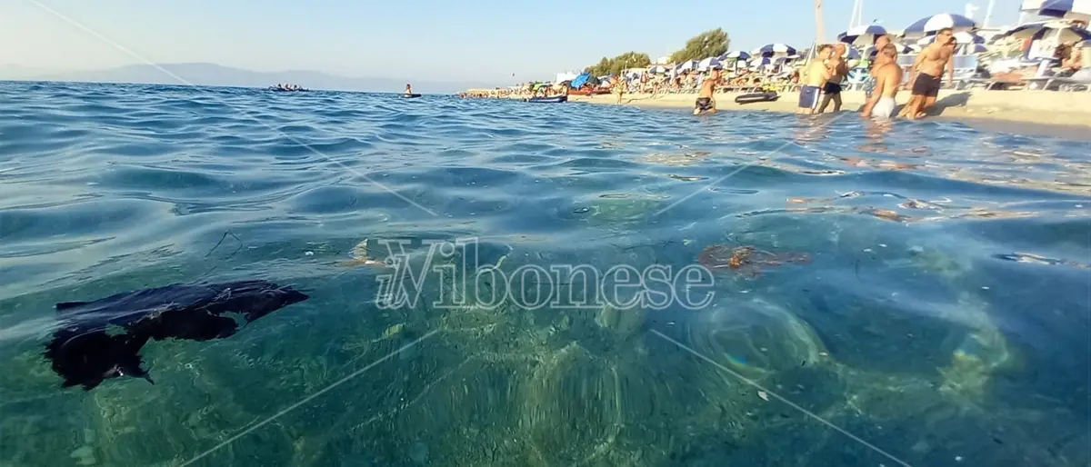 Depurazione, dalla Regione 38 milioni negli ultimi 4 anni per 115 Comuni. Il caso Zungri: da disastro ad esempio che le cose possono cambiare