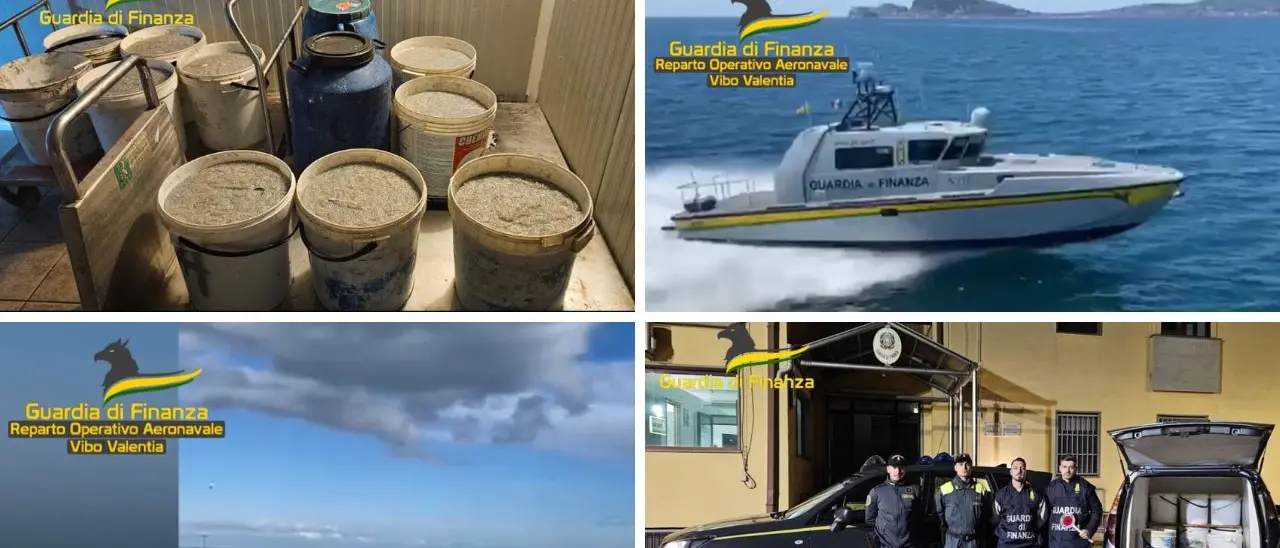 Oltre 600 chili di novellame di sarda sequestrati nel Cosentino