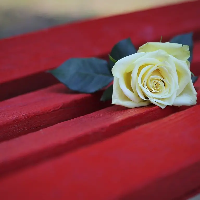 Violenza di genere, a Cessaniti sarà inaugurata una panchina rossa: «È ora di dire basta»