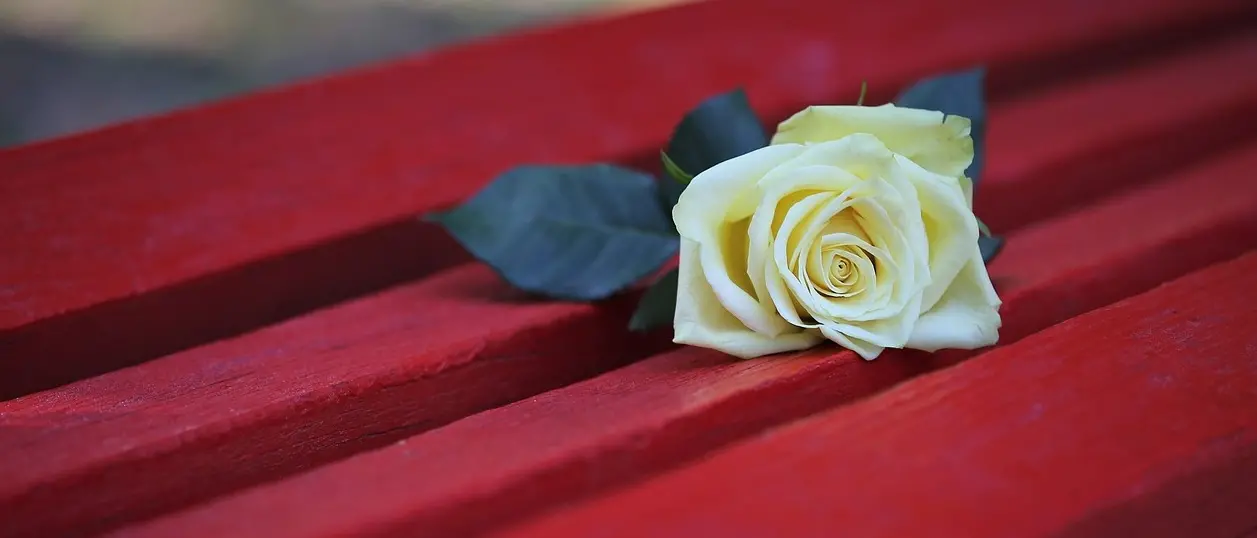 Violenza di genere, a Cessaniti sarà inaugurata una panchina rossa: «È ora di dire basta»