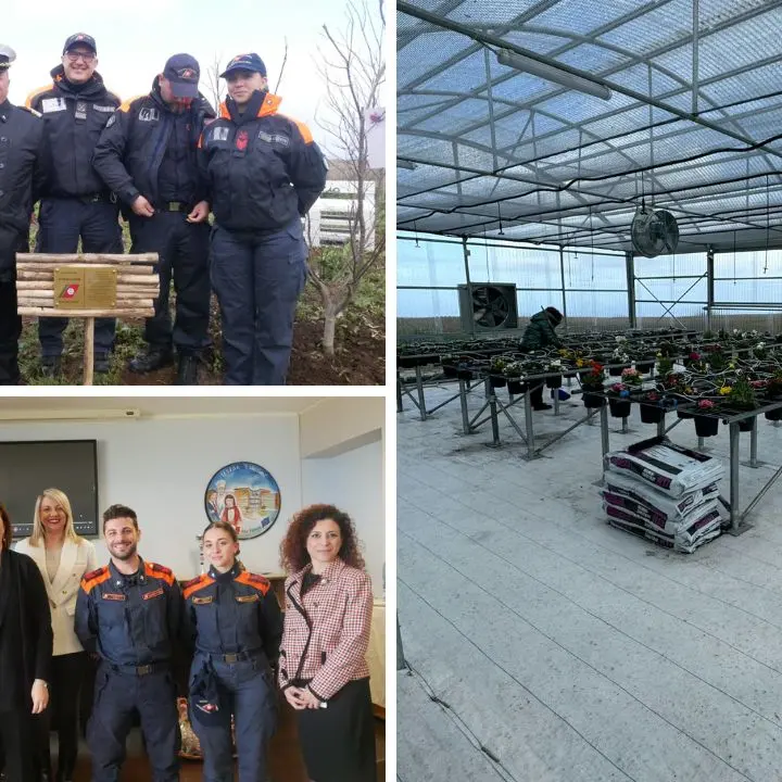 Vibo, all’istituto Alberghiero inaugurato il giardino dei giusti