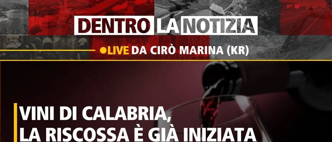 Vini di Calabria, approfondimento a Dentro la notizia